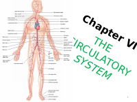 Ch. 6THE CIRCULATORY SYSTEM hand out.pptx